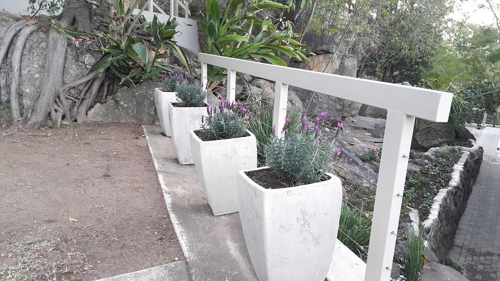 Hotel Vineyard On The Hill Mbombela Esterno foto